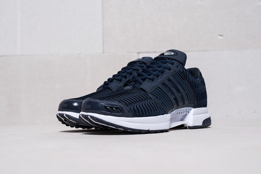 Кроссовки Adidas Climacool
