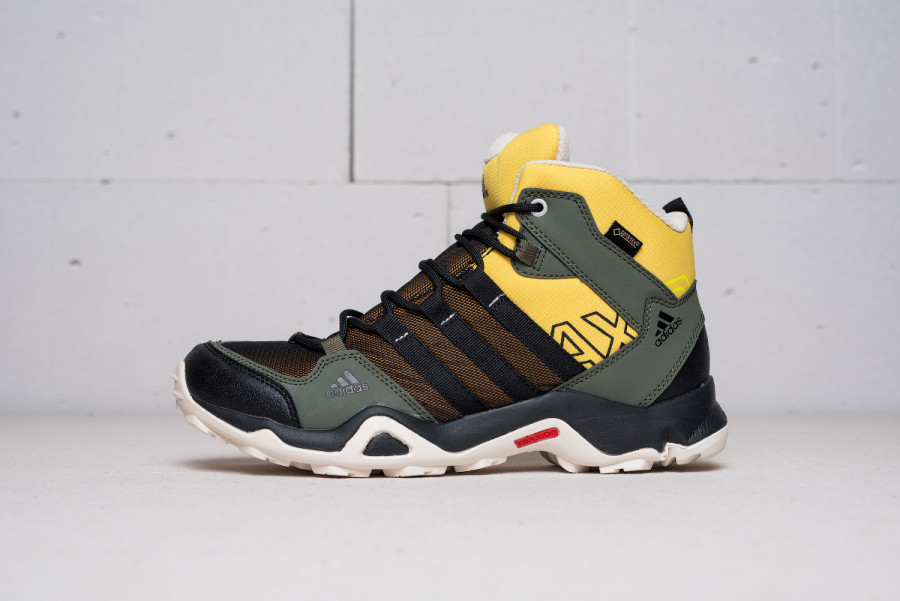 Ботинки Adidas Outdoor AX 2 Mid GTX