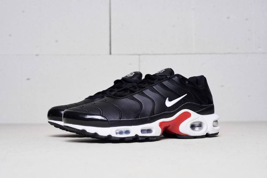 Кроссовки Nike Air Max Plus Tn
