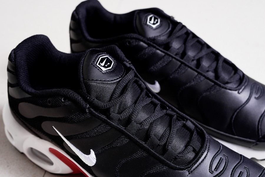 Кроссовки Nike Air Max Plus Tn