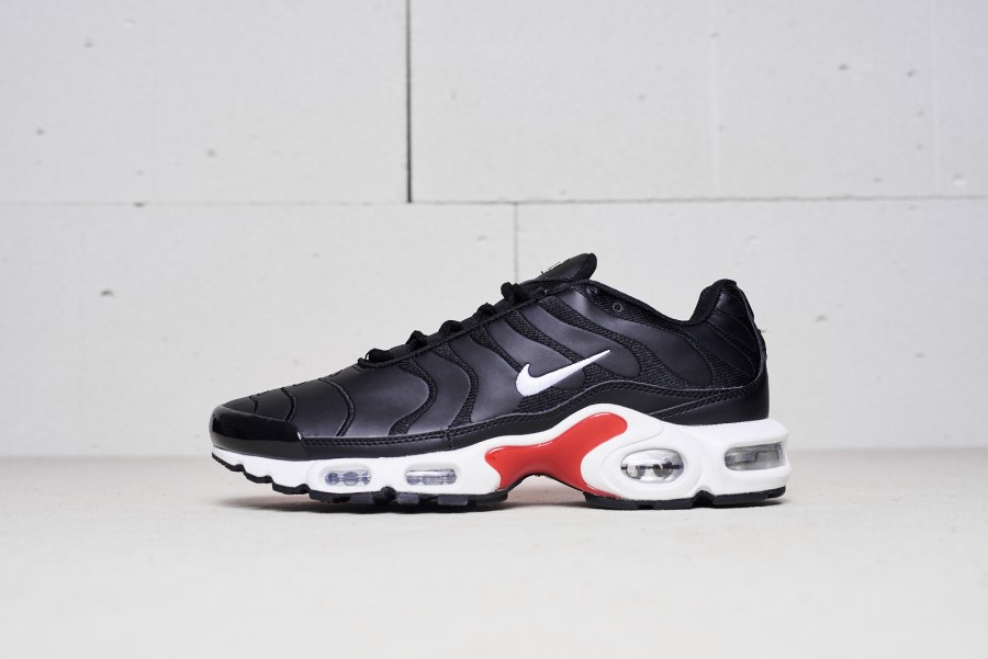 Кроссовки Nike Air Max Plus Tn