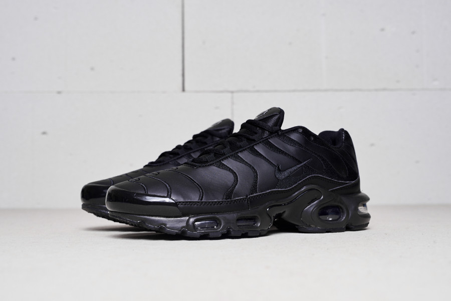 Кроссовки Nike Air Max Plus Tn