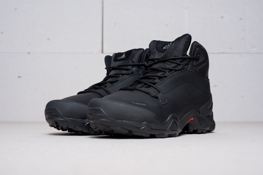 Ботинки Adidas Terrex