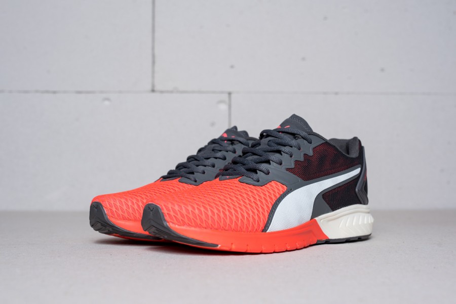 Кроссовки Puma Ignite Dual Mesh