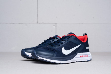 Кроссовки Nike Air Zoom Structure 17 Shield