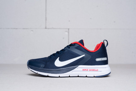 Кроссовки Nike Air Zoom Structure 17 Shield
