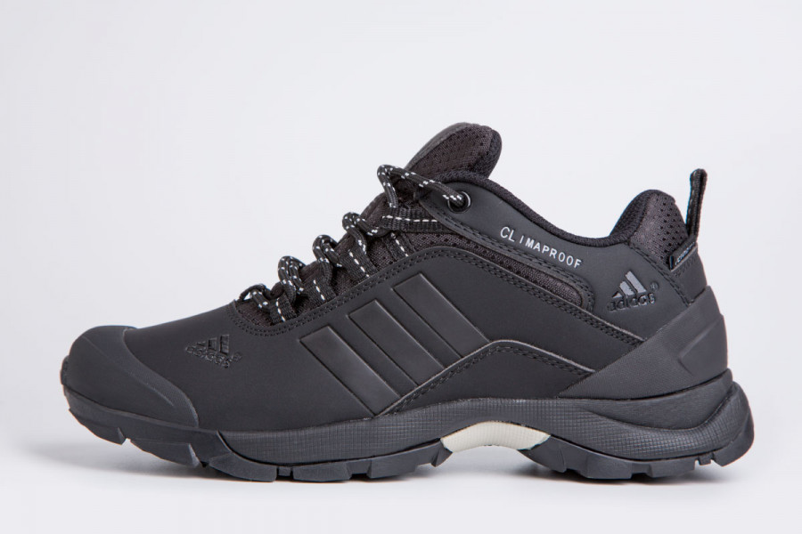 Кроссовки Adidas Terrex Climaproof