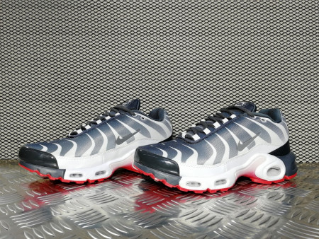 кроссовки мужские Nike Air Max Plus TN SE Before The Bite