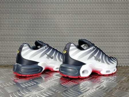 кроссовки мужские Nike Air Max Plus TN SE Before The Bite