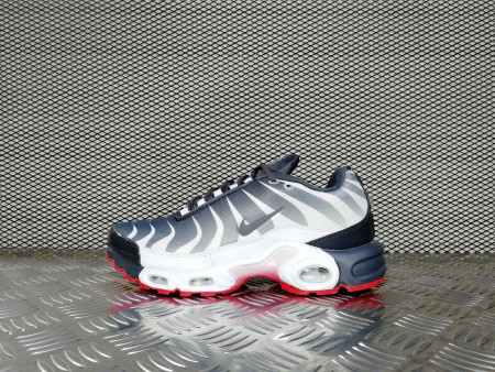 кроссовки мужские Nike Air Max Plus TN SE Before The Bite