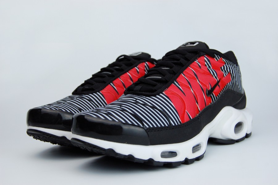 кроссовки мужские Nike Air Max Plus TN SE Black / White / Pure Platinum