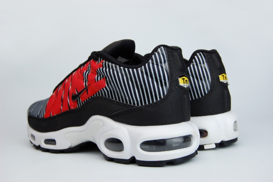 кроссовки мужские Nike Air Max Plus TN SE Black / White / Pure Platinum