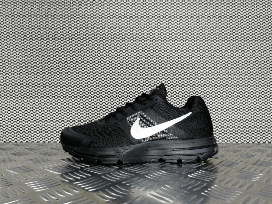 кроссовки мужские Nike Air Pegasus +30 Black / Silver Logo