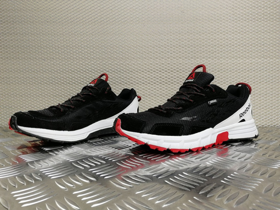 кроссовки мужские Reebok Sawcut 3.0 Gore Tex BWR