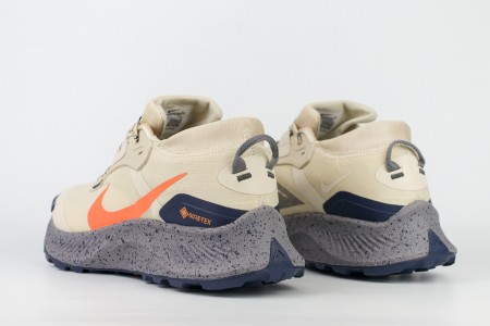 кроссовки Nike Pegasus Trail 3 Gore-tex Beige / Grey