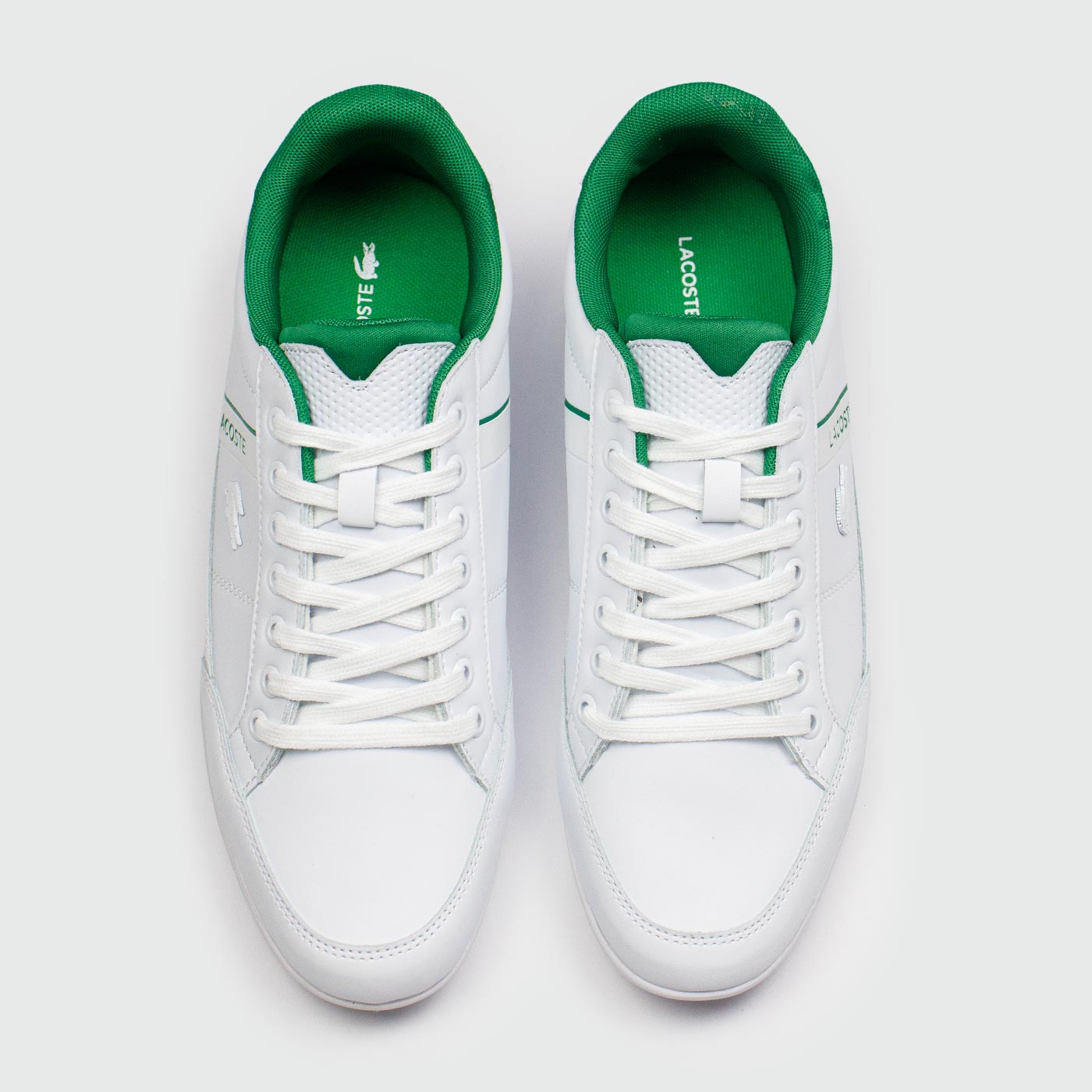 Кеды Lacoste Endliner 116 White Green