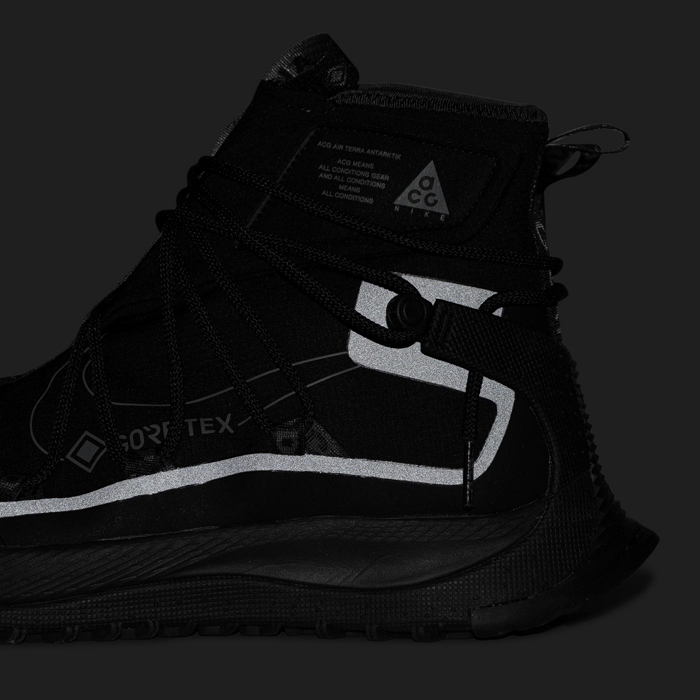 Кроссовки Nike ACG Terra Antarktik Black