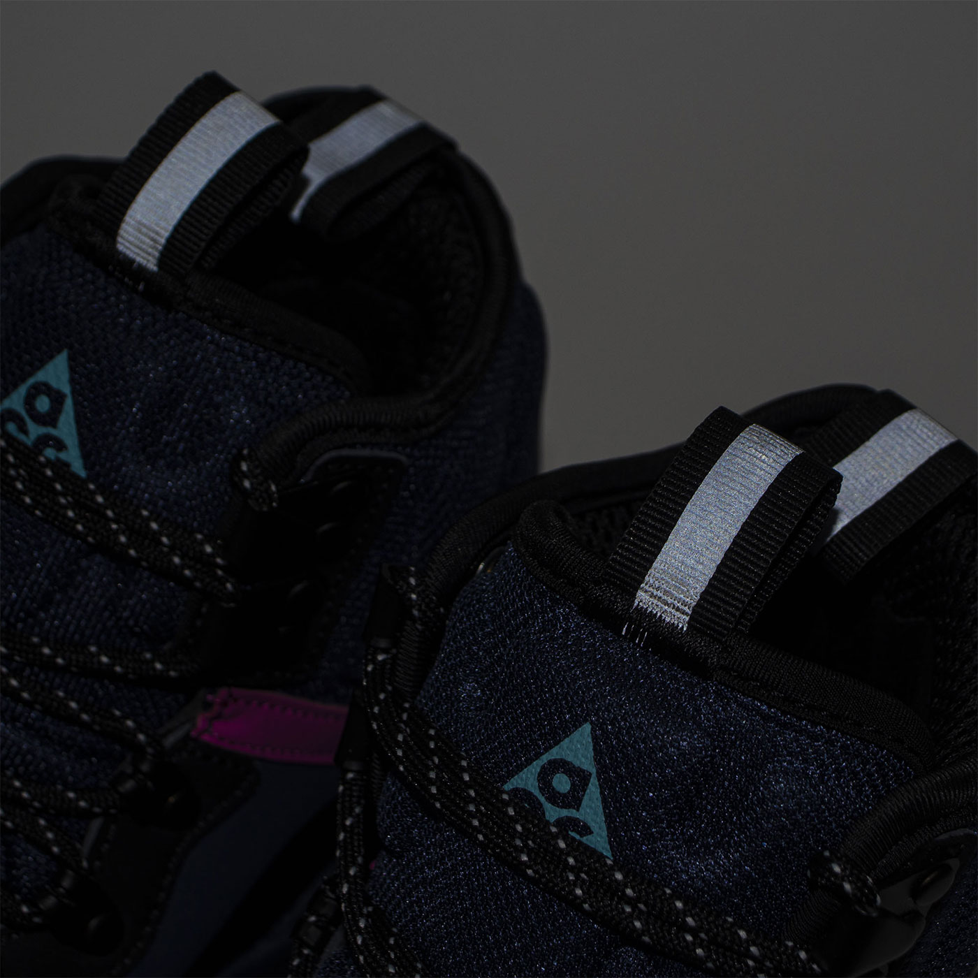 Ботинки Nike ACG Zoom Gaiadome GTX Blue Pink Wmns